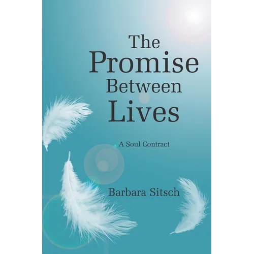 The Promise Between Lives: A Soul Contract - Paperback