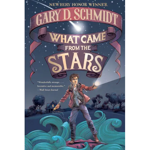 What Came from the Stars - Paperback