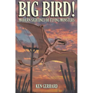 Big Bird! - Modern Sightings of Flying Monsters - Paperback