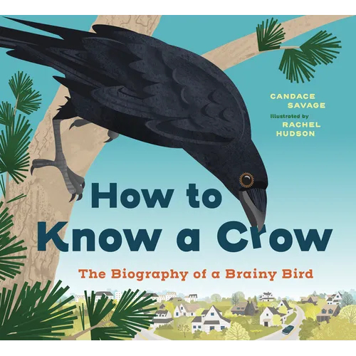 How to Know a Crow: The Biography of a Brainy Bird - Paperback