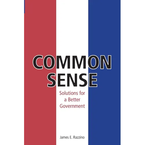 Common Sense: Solutions for Better Government - Paperback
