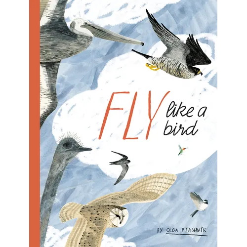 Fly Like a Bird - Hardcover