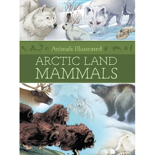 Animals Illustrated: Arctic Land Mammals - Hardcover
