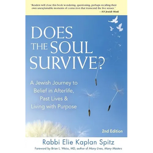 Does the Soul Survive? (2nd Edition): A Jewish Journey to Belief in Afterlife, Past Lives & Living with Purpose - Paperback