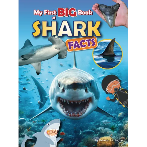 My First Big Book of Shark Facts - Library Binding