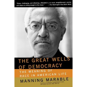 The Great Wells of Democracy: The Meaning of Race in American Life - Paperback