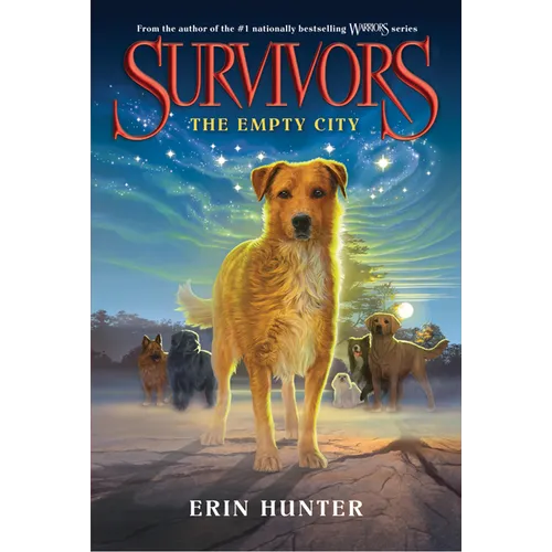 The Empty City - Paperback
