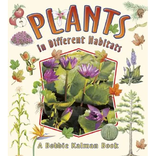 Plants in Different Habitats - Paperback