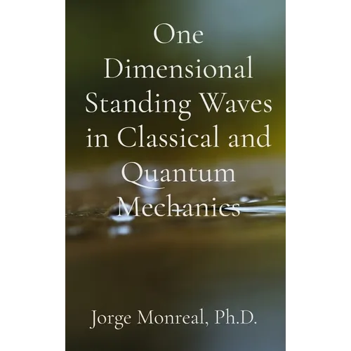 One Dimensional Standing Waves in Classical and Quantum Mechanics - Hardcover