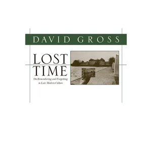 Lost Time: On Remembering and Forgetting in Late Modern Culture - Paperback