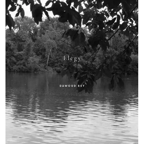 Dawoud Bey: Elegy - Hardcover