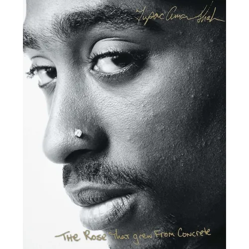 The Rose That Grew from Concrete - Paperback