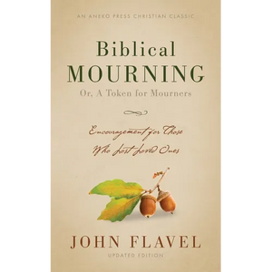 Biblical Mourning: Encouragement for Those Who Lost Loved Ones - Paperback