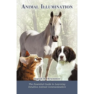 Animal Illumination: The Essential Guide to Learning Intuitive Animal Communication - Paperback