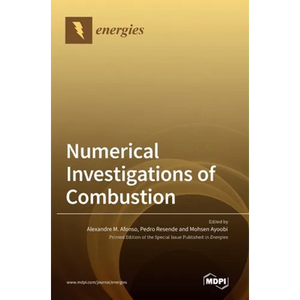 Numerical Investigations of Combustion - Hardcover