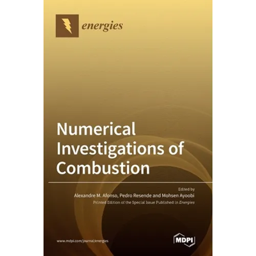 Numerical Investigations of Combustion - Hardcover
