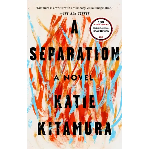 A Separation - Paperback