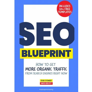 The SEO Blueprint: How to Get More Organic Traffic Right NOW - Paperback