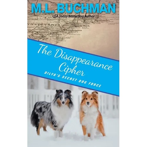 The Disappearance Cipher: a coming of age romantic suspense - Paperback