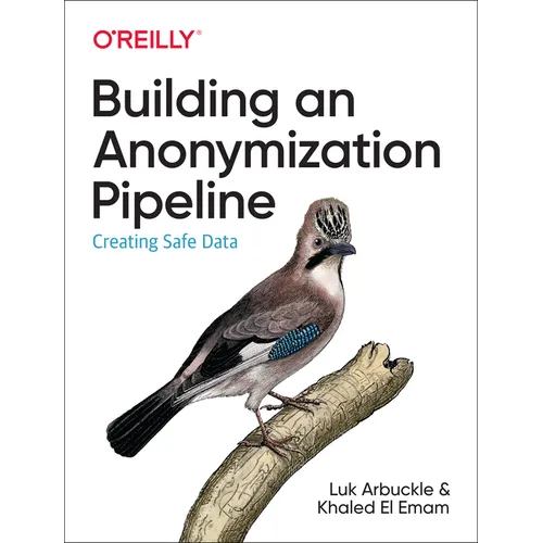 Building an Anonymization Pipeline: Creating Safe Data - Paperback