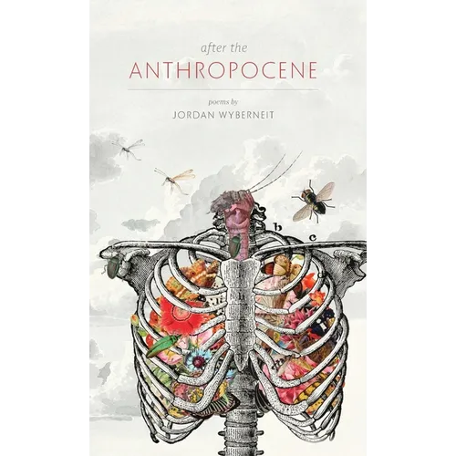 After the Anthropocene - Hardcover