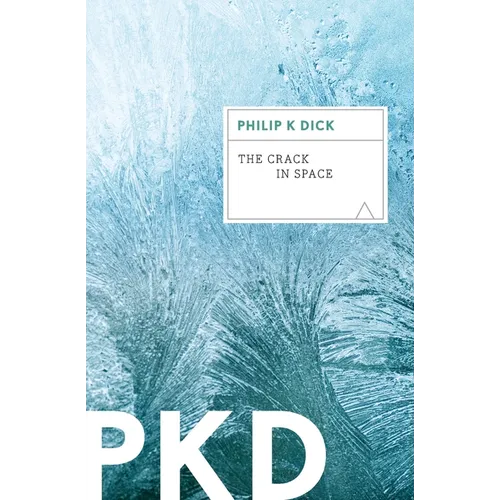 The Crack in Space - Paperback