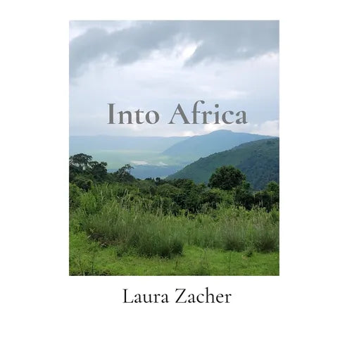 Into Africa: Visiting Four National Parks in Tanzania - Paperback