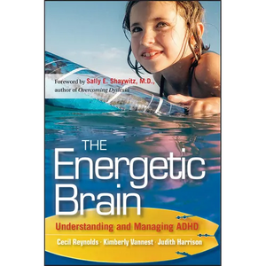 The Energetic Brain - Paperback