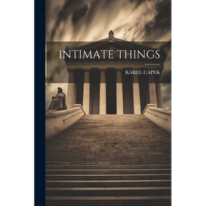 Intimate Things - Paperback