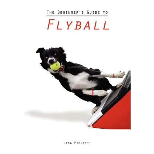 The Beginner's Guide to Flyball