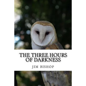 The three hours of darkness - Paperback