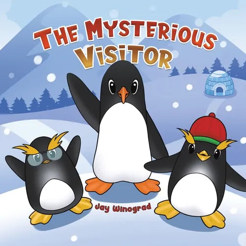 The Mysterious Visitor - Paperback