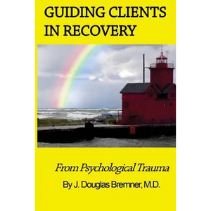 Guiding Clients in Recovery from Psychological Trauma - Paperback
