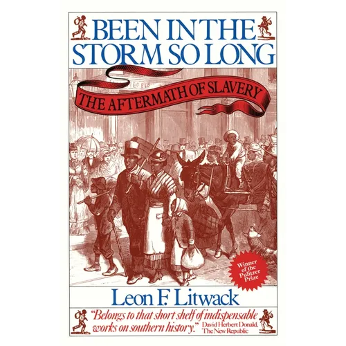 Been in the Storm So Long (Pulitzer Prize Winner): The Aftermath of Slavery - Paperback