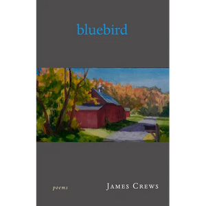 Bluebird: Poems - Paperback