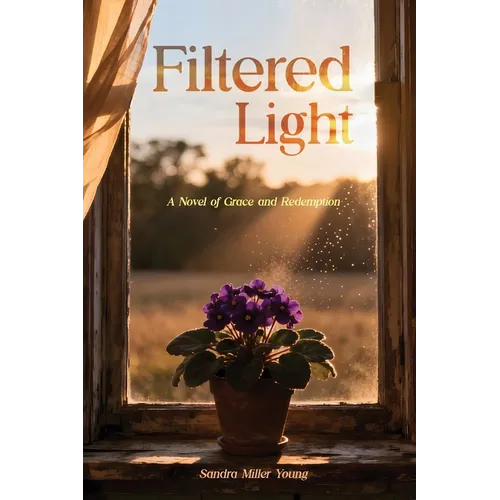 Filtered Light: A Novel of Grace and Redemption - Paperback