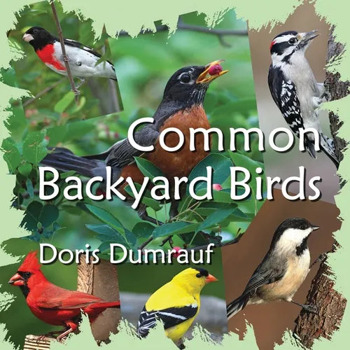Common Backyard Birds - Paperback