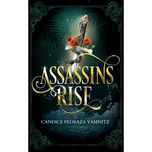 Assassins Rise - Hardcover