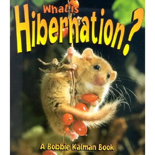 What is Hibernation? - Paperback