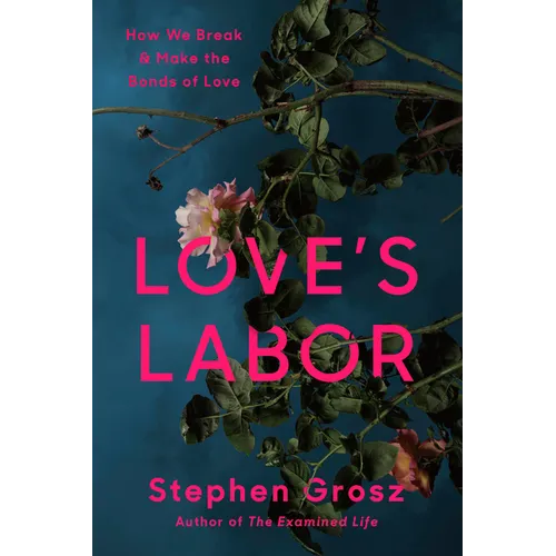 Love's Labor: How We Break and Make the Bonds of Love - Hardcover