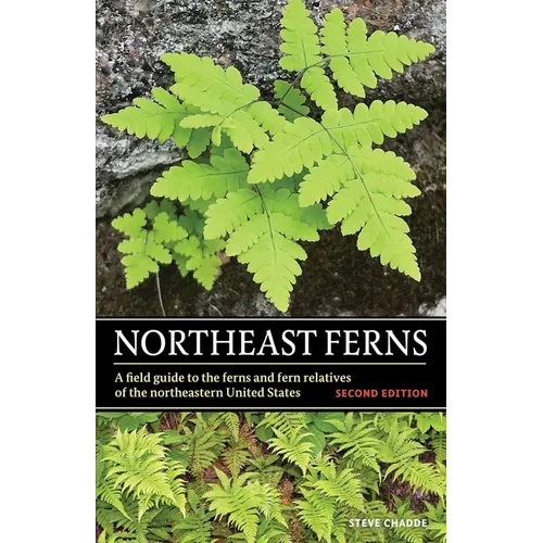 Northeast Ferns: A Field Guide to the Ferns and Fern Relatives of the Northeastern United States - Paperback