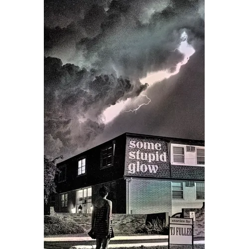 Some Stupid Glow: Stories - Paperback
