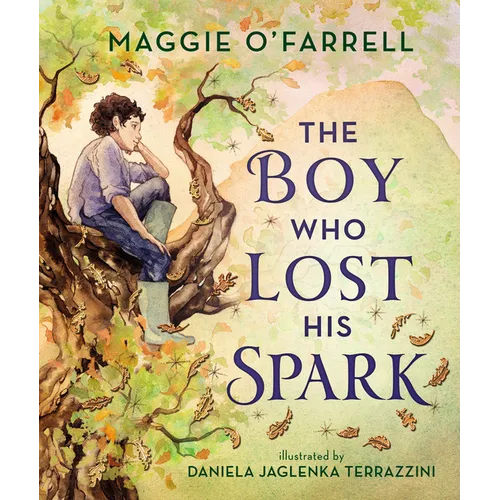 The Boy Who Lost His Spark - Hardcover