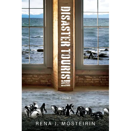 Disaster Tourism - Paperback
