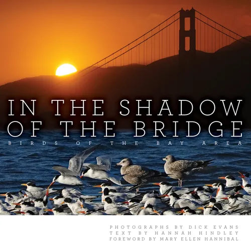 In the Shadow of the Bridge: Birds of the Bay Area - Hardcover