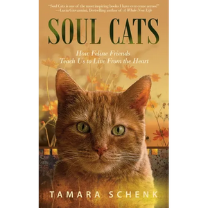 Soul Cats: How Our Feline Friends Teach Us to Live from the Heart - Paperback