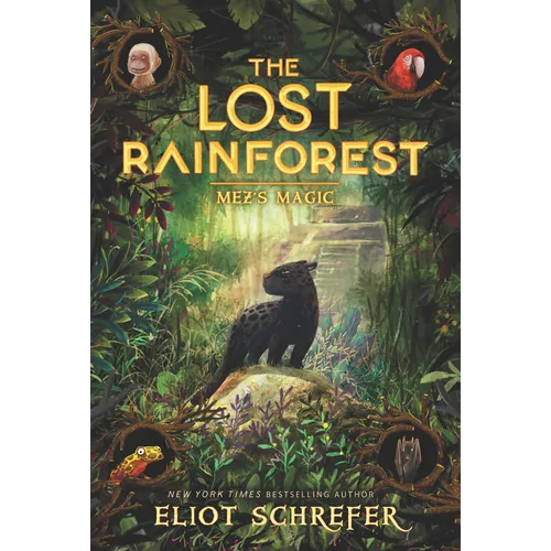 The Lost Rainforest: Mez's Magic - Paperback