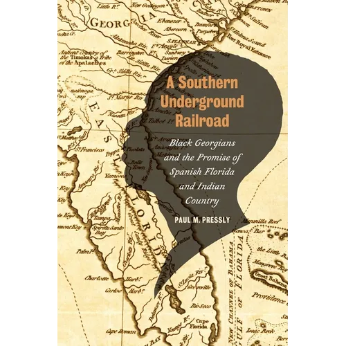 A Southern Underground Railroad: Black Georgians and the Promise of Spanish Florida and Indian Country - Paperback