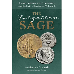 The Forgotten Sage: Rabbi Joshua Ben Hananiah and the Birth of Judaism as We Know It - Paperback