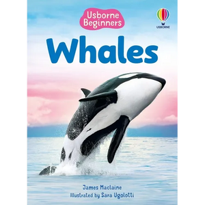 Beginners Whales - Paperback